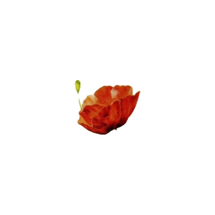 Кружка 350 мл Алый мак Витая