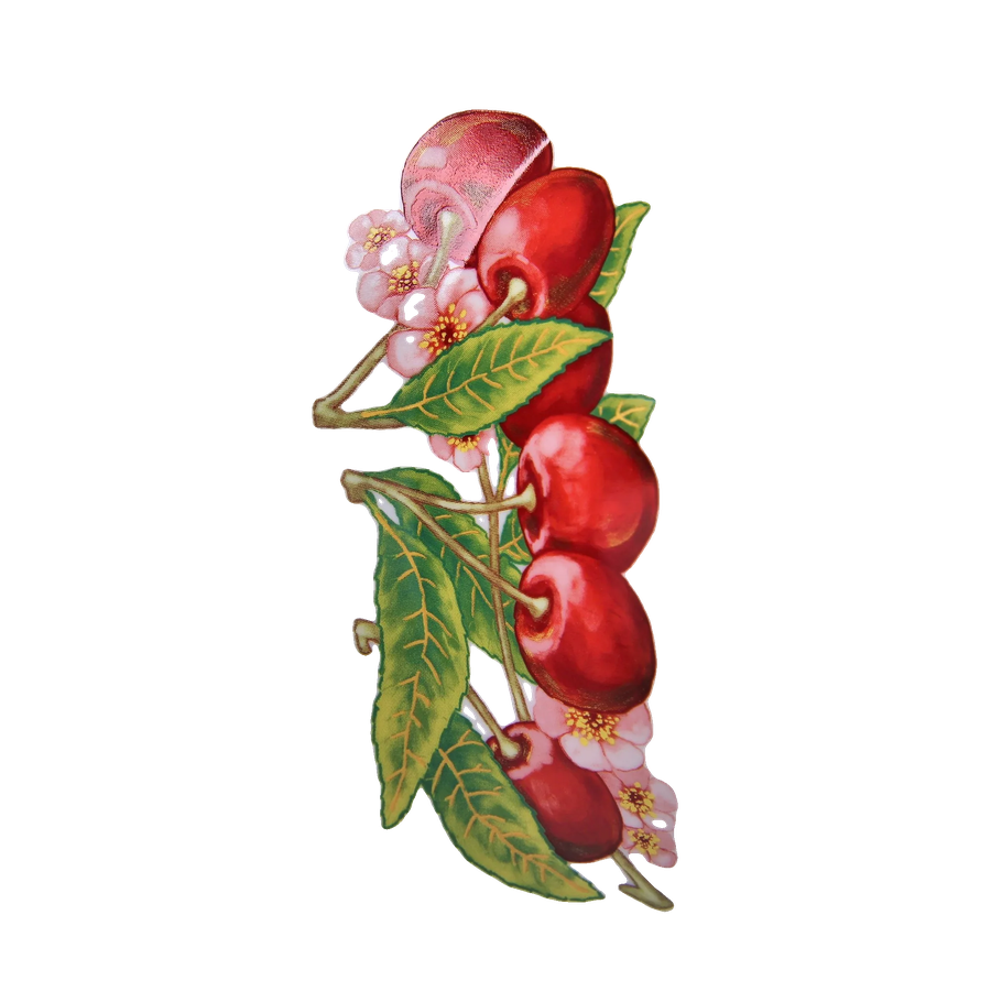 Миска 300 мл Вишня